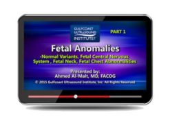 Gulfcoast Fetal Anomalies | Medical Video Courses.