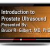 Gulfcoast Introduction to Prostate Ultrasound (Videos+PDFs) | Medical Video Courses.