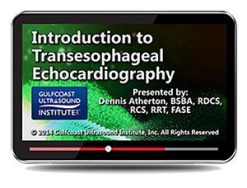 Gulfcoast Introduction to Transesophageal Echocardiography (Videos+PDFs) | Medical Video Courses.