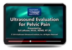 Gulfcoast Ultrasound Evaluation for Pelvic Pain | Medical Video Courses.