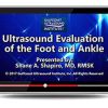 Gulfcoast Ultrasound Evaluation of the Foot and Ankle (Videos+PDFs) | Medical Video Courses.