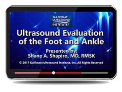Gulfcoast Ultrasound Evaluation of the Foot and Ankle (Videos+PDFs) | Medical Video Courses.