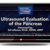 Gulfcoast Ultrasound Evaluation of the Pancreas (Videos+PDFs) | Medical Video Courses.