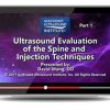 Gulfcoast Ultrasound Evaluation of the Spine and Injection Techniques (Videos) | Medical Video Courses.