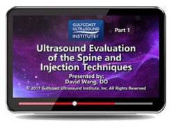 Gulfcoast Ultrasound Evaluation of the Spine and Injection Techniques (Videos) | Medical Video Courses.