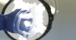 Harvard Anesthesiology Update 2022