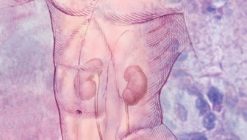 Harvard Comprehensive Review of Nephrology 2021