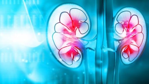 Harvard Intensive Review of Nephrology 2021 | Medical Video Courses.