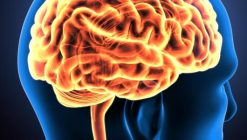 Harvard Neurological Emergencies 2021