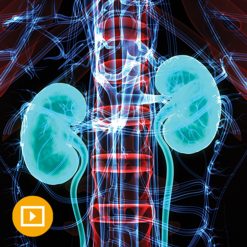 Intensive Review of Nephrology 2021
