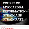 Morcerf Course of Myocardial Deformation – Strain and Strain Rate 2020 | Medical Video Courses.