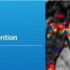 Multi-Parametric Prostate MRI and MR-Guided Intervention 2016 (Videos) | Medical Video Courses.