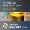 Review of Regional Anesthesia: Updates