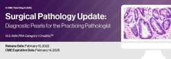 Surgical Pathology Update: Diagnostic Pearls for the Practicing Pathologist – Vol. VI 2022