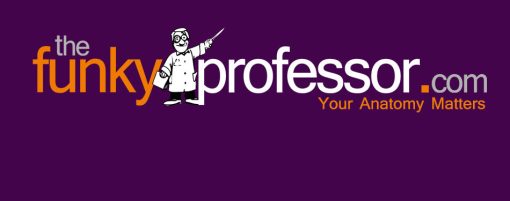 The Funky Professor – Human Anatomy Tutorials and Learning Resources (Videos)
