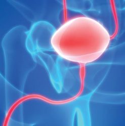 UCLA State-of-the-Art Urology 2021 | Medical Video Courses.