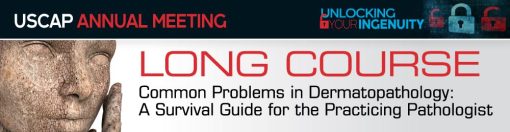 USCAP 2019 Annual Meeting Long Course – Common Problems in Dermatopathology