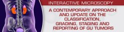 USCAP A Contemporary Approach and Update on the Classification, Grading, Staging and Reporting of GU Tumors 2021