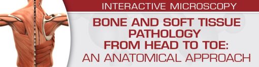 USCAP Bone and Soft Tissue Pathology from Head to Toe: An Anatomical Approach 2022