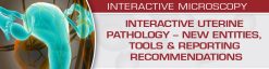 USCAP Interactive Uterine Pathology - New Entities