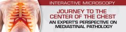 USCAP Journey to the Center of the Chest: An Expert’s Perspective On Mediastinal Pathology 2021