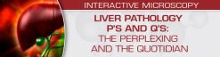 USCAP Liver Pathology P’s and Q’s: The Perplexing and the Quotidian	2022