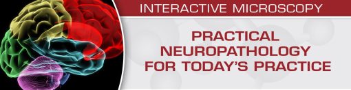 USCAP Practical Neuropathology for Today’s Practice | Medical Video Courses.