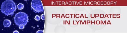 USCAP Practical Updates in Lymphoma 2018 | Medical Video Courses.
