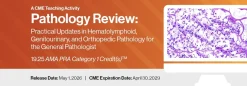 2026 Pathology Review: Practical Updates in Hematolymphoid, Genitourinary, and Orthopedic Pathology for the General Pathologist