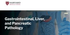 Harvard Gastrointestinal, Liver, and Pancreatic Pathology 2026